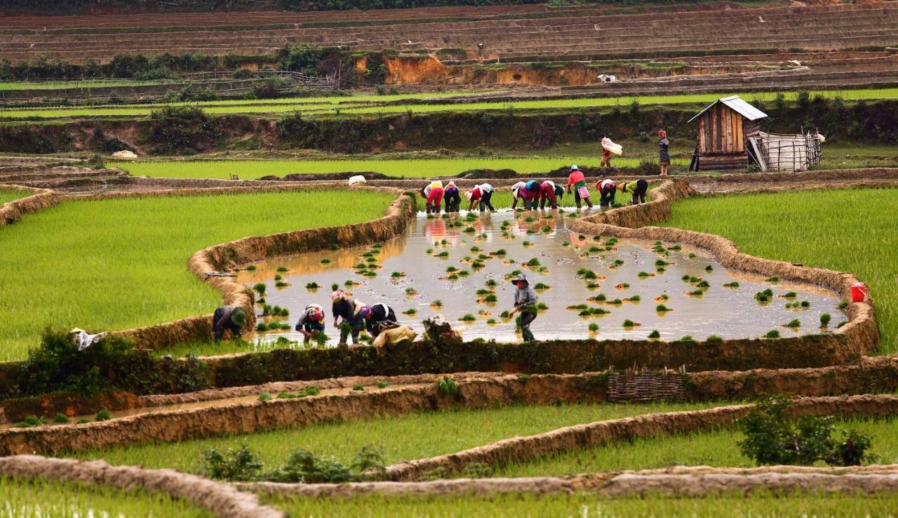 Mu Cang Chai Eco Lodge Nam San 외부 사진