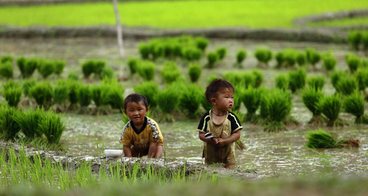 Mu Cang Chai Eco Lodge Nam San 외부 사진