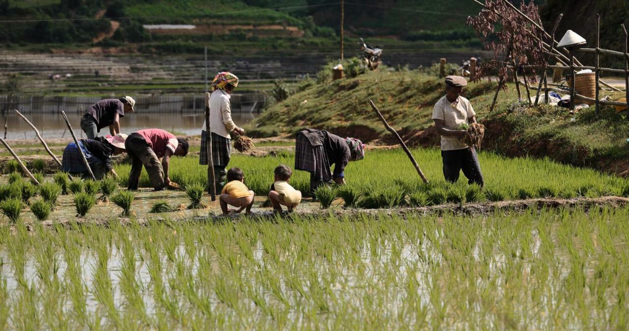 Mu Cang Chai Eco Lodge Nam San 외부 사진