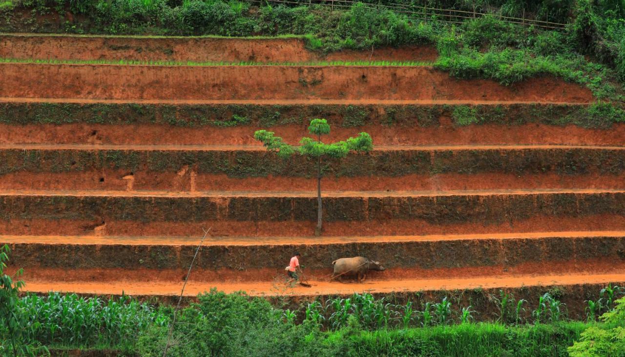 Mu Cang Chai Eco Lodge Nam San 외부 사진